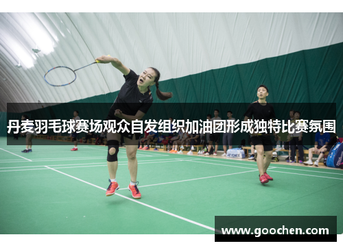 丹麦羽毛球赛场观众自发组织加油团形成独特比赛氛围 丹麦羽毛球赛场观众自发组织加油团形成独特比赛氛围