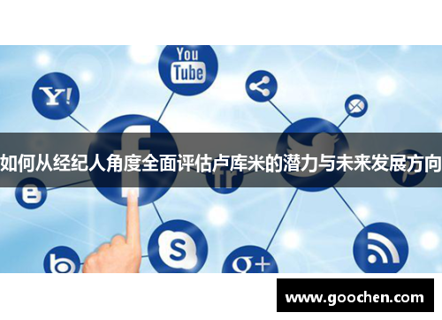 如何从经纪人角度全面评估卢库米的潜力与未来发展方向