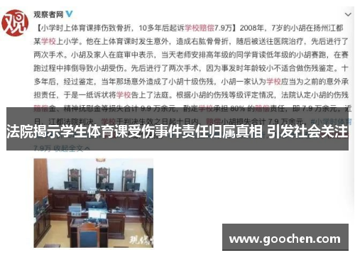法院揭示学生体育课受伤事件责任归属真相 引发社会关注