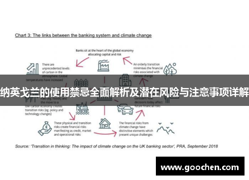 纳英戈兰的使用禁忌全面解析及潜在风险与注意事项详解 纳英戈兰的使用禁忌全面解析及潜在风险与注意事项详解