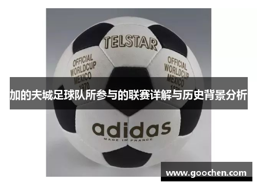 加的夫城足球队所参与的联赛详解与历史背景分析